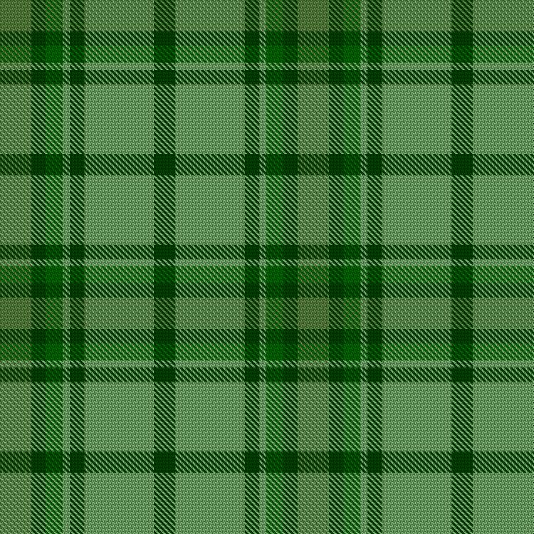 Tartan image: 2045 Land. Click on this image to see a more detailed version.