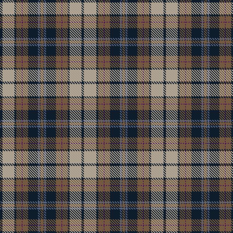 Tartan image: Brunell, Devin & Family (Personal). Click on this image to see a more detailed version.