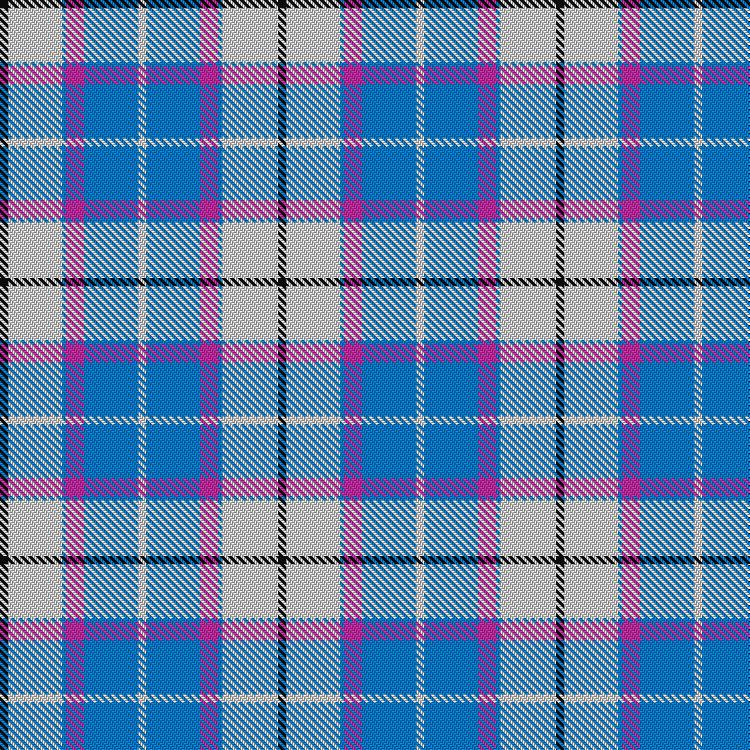 Tartan image: Bonnie Sky. Click on this image to see a more detailed version.