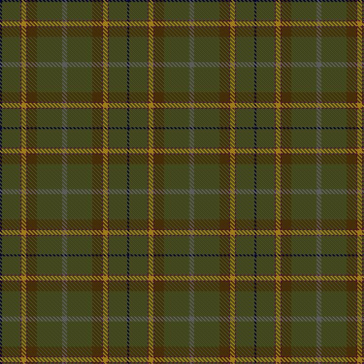 Tartan image: Beattie, B & Family (Personal). Click on this image to see a more detailed version.