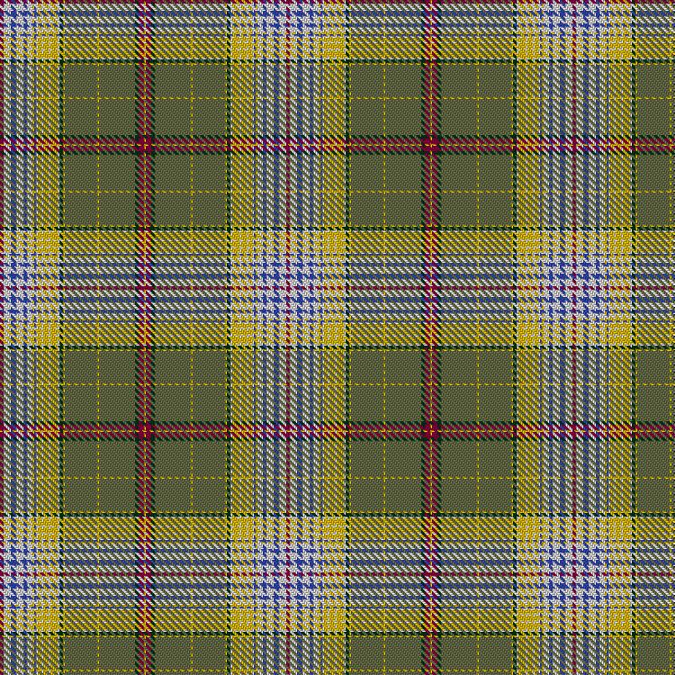 Tartan image: Kassouny, Gabriela and Family (Personal). Click on this image to see a more detailed version.