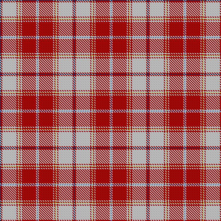 Tartan image: Red Northern Dress. Click on this image to see a more detailed version.