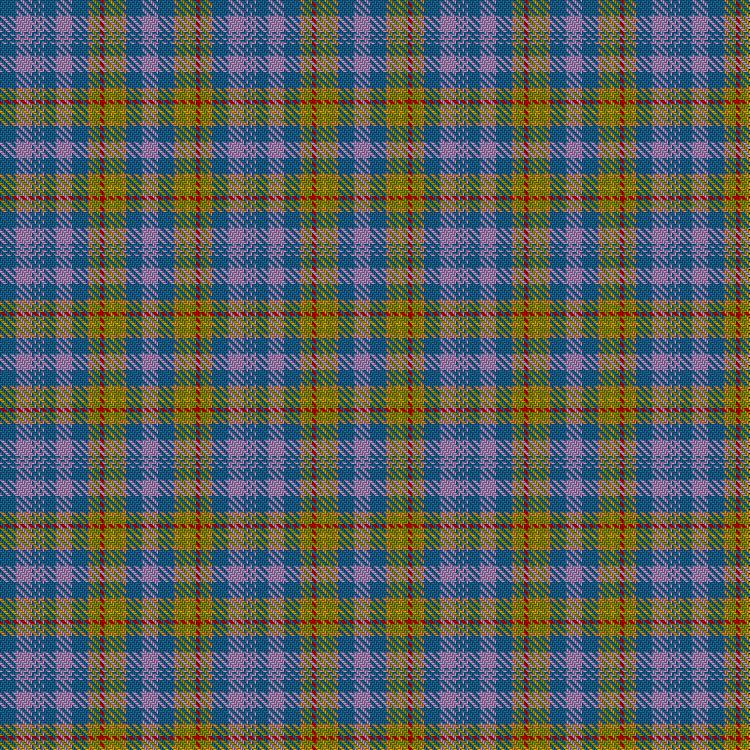 Tartan image: Pride of Wellbeing. Click on this image to see a more detailed version.