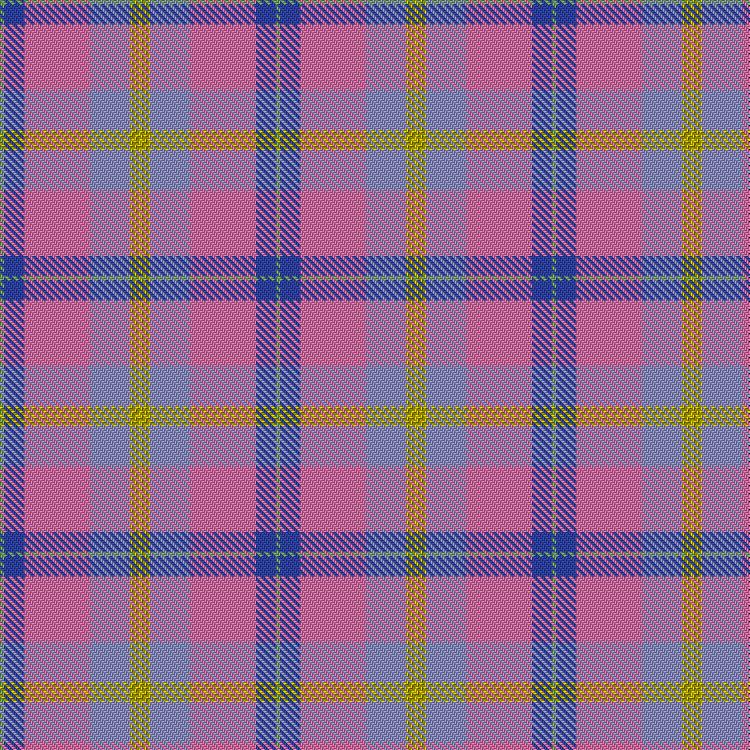 Tartan image: Aliam. Click on this image to see a more detailed version.
