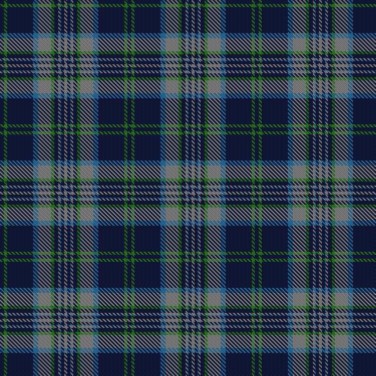 Tartan image: Augusta University. Click on this image to see a more detailed version.