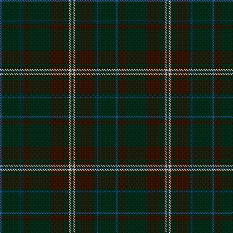 Tartan image: Hammons, M & Family (Personal). Click on this image to see a more detailed version.