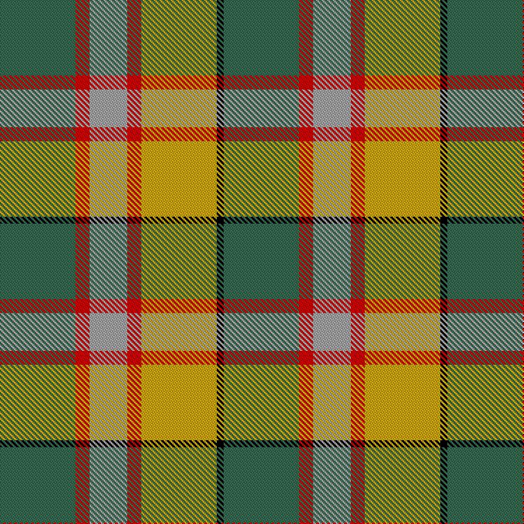Tartan image: Saguenay-Lac-Saint-Jean. Click on this image to see a more detailed version.