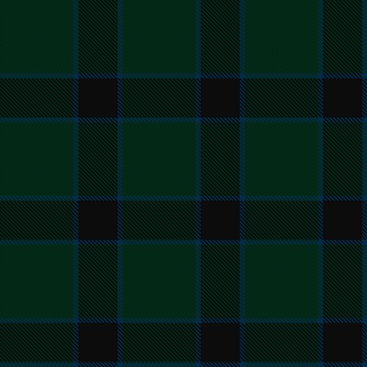 Tartan image: Bruining, R J & Family (Personal). Click on this image to see a more detailed version.