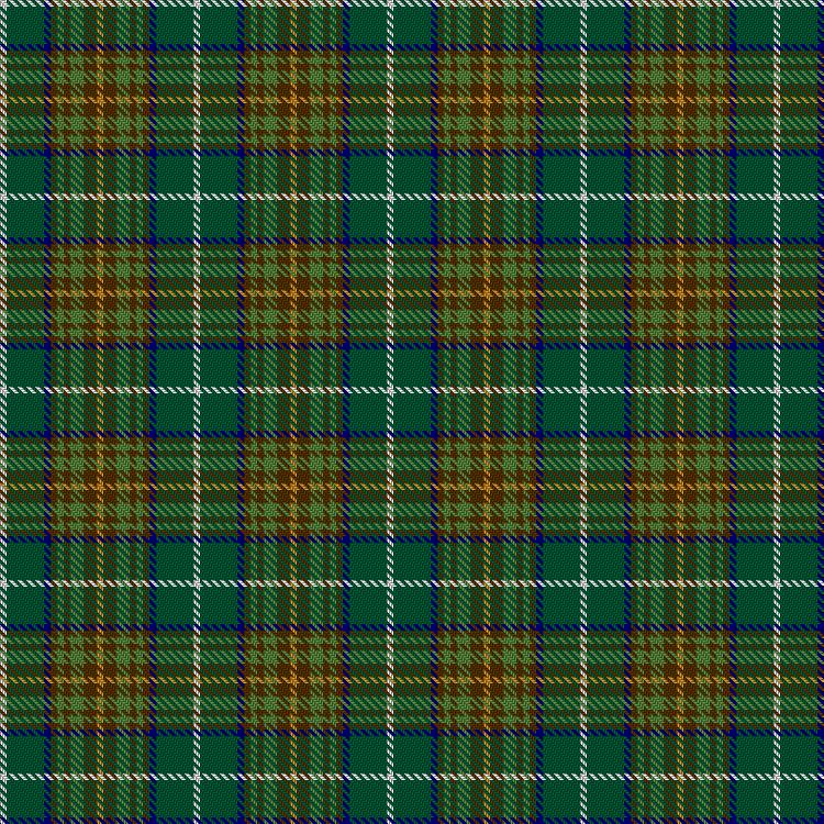 Tartan image: Royal Scottish Society of Arts, The. Click on this image to see a more detailed version.