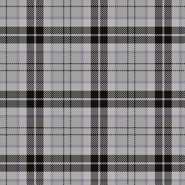 Tartan image: Snow. Click on this image to see a more detailed version.