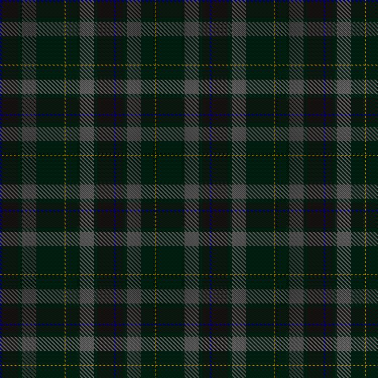 Tartan image: Schiller, Moira & Anthony Hunting (Personal). Click on this image to see a more detailed version.