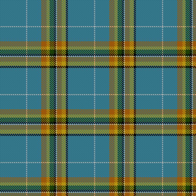 Tartan image: Turner, Hayley (Personal). Click on this image to see a more detailed version.