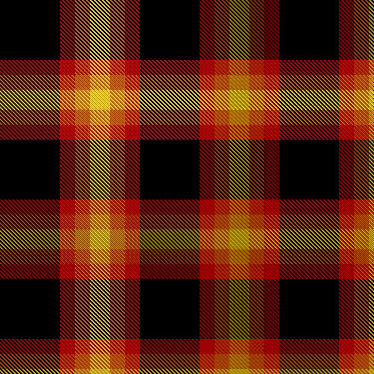 Tartan image: Cerbin, Michael (Personal). Click on this image to see a more detailed version.