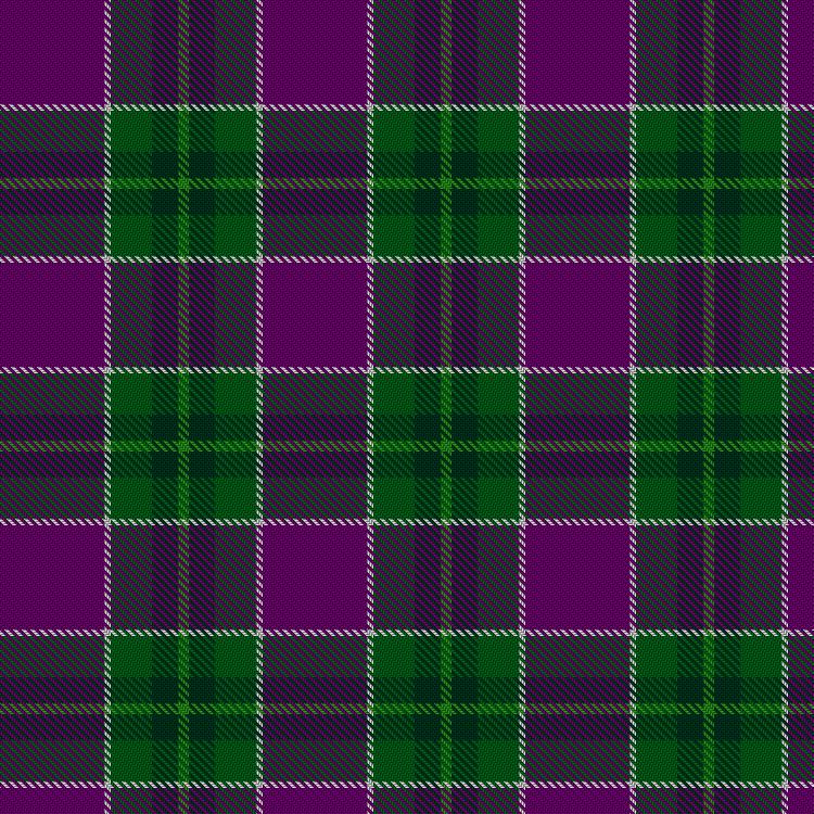 Tartan image: Unison Lothian Health Branch. Click on this image to see a more detailed version.