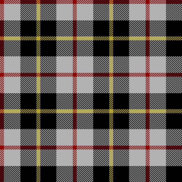 Tartan image: FitzJoly, Henry, Stobo (Personal). Click on this image to see a more detailed version.