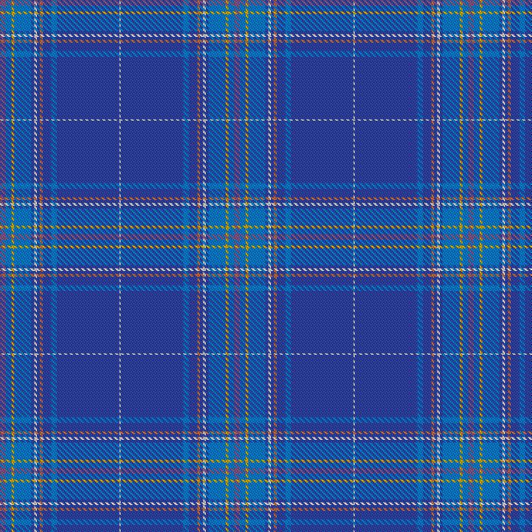 Tartan image: Albany. Click on this image to see a more detailed version.