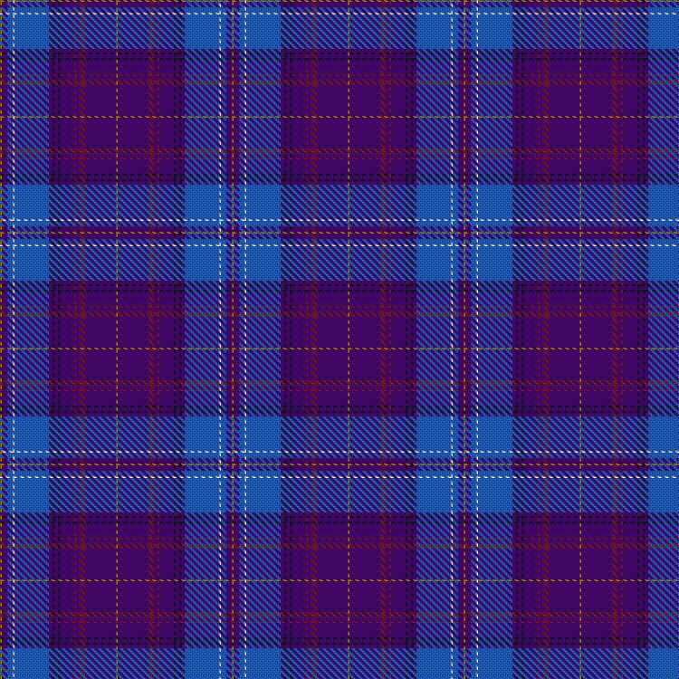 Tartan image: Ferreira Fialho dos Anjos, Miguel Nuno (Personal). Click on this image to see a more detailed version.