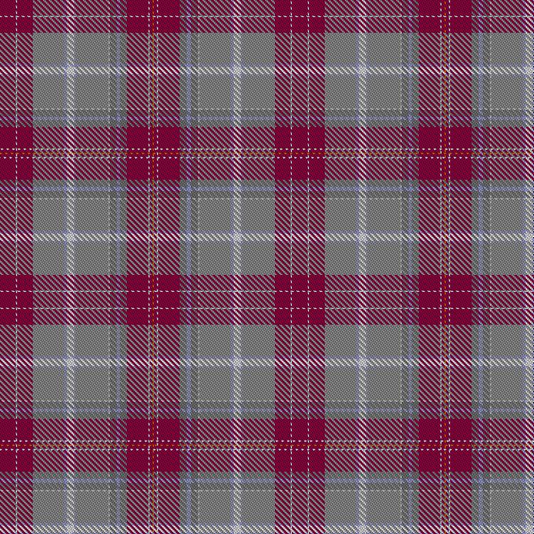 Tartan image: Clydeview Academy. Click on this image to see a more detailed version.