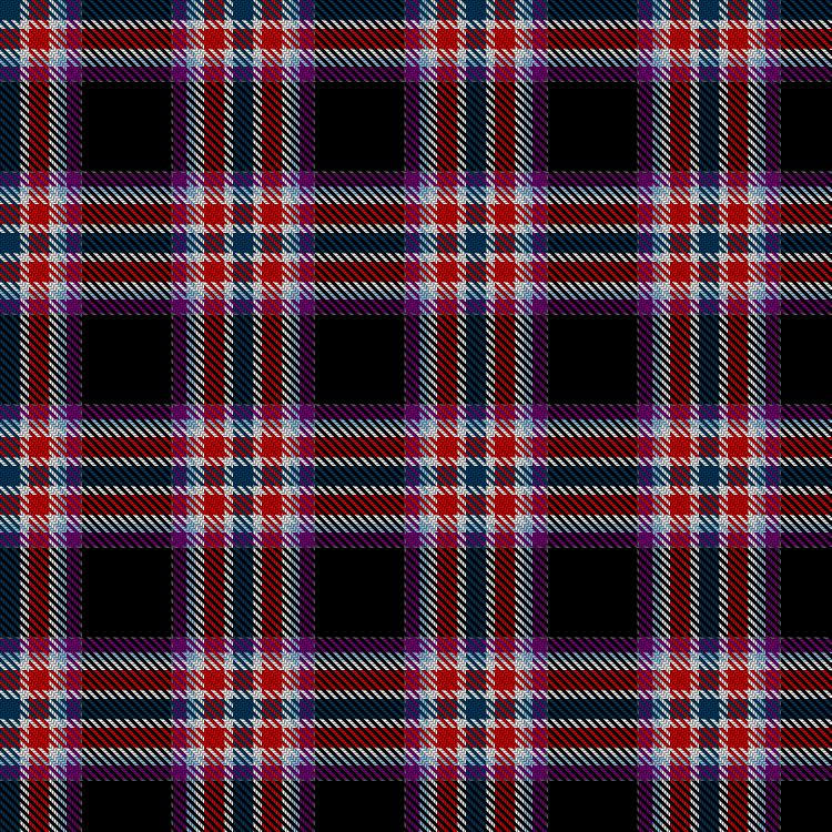Tartan image: Trinder, Svend and Patricia & Family (Personal). Click on this image to see a more detailed version.