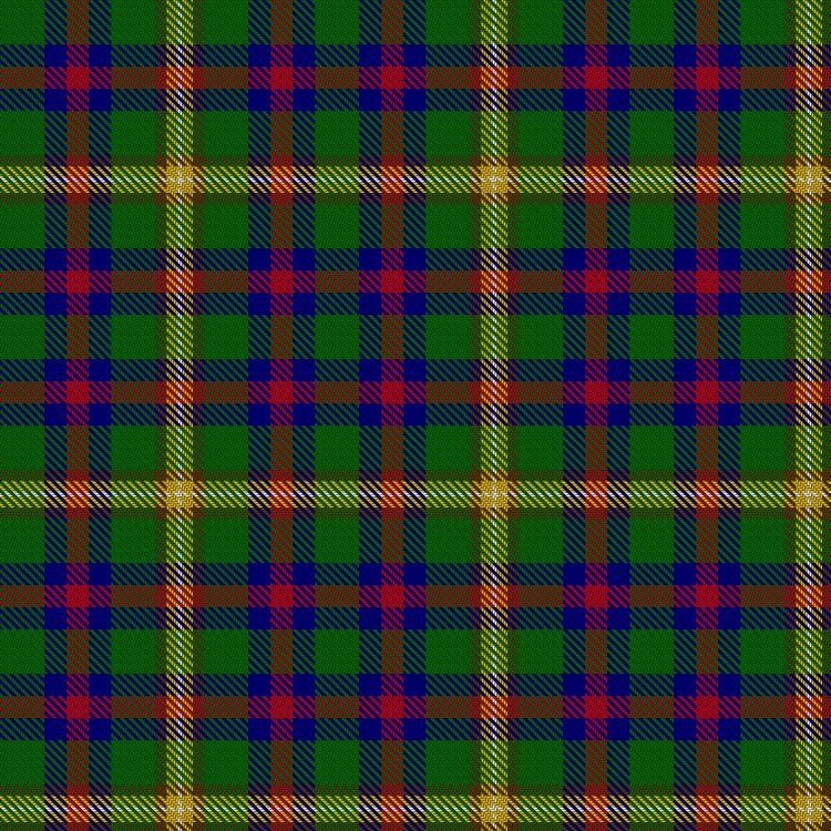 Tartan image: Sumner, M & Green, L (Personal). Click on this image to see a more detailed version.
