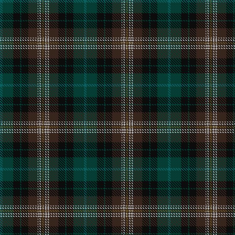 Tartan image: Suginamigakuin. Click on this image to see a more detailed version.