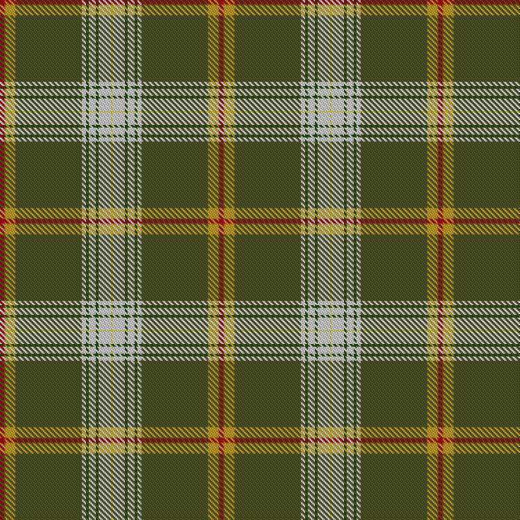 Tartan image: Tully, Andrew Michael & Family (Personal). Click on this image to see a more detailed version.