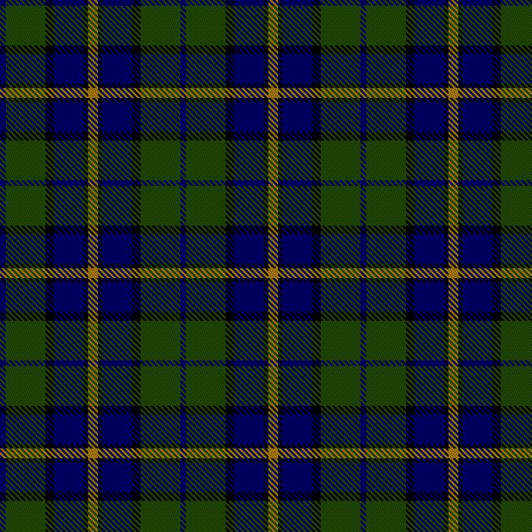 Tartan image: Ruane, M (Personal). Click on this image to see a more detailed version.