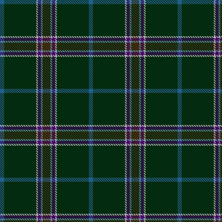Tartan image: Blended Heritage. Click on this image to see a more detailed version.
