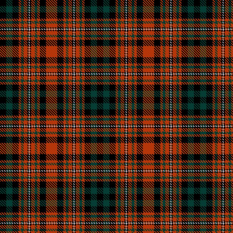 Tartan image: Docherty, William Thomas and Mary Bridget (Personal). Click on this image to see a more detailed version.