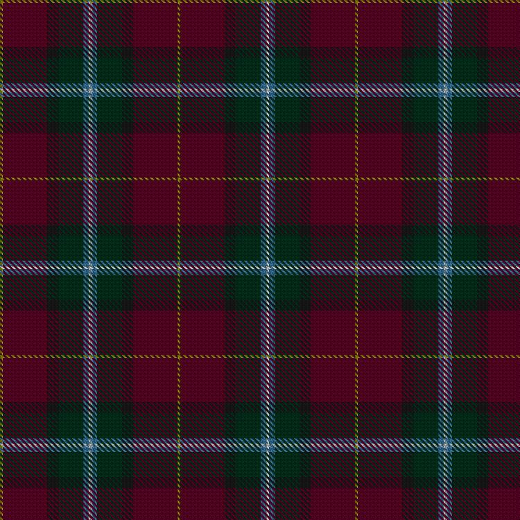 Tartan image: Doo, Chris & Family (Personal). Click on this image to see a more detailed version.