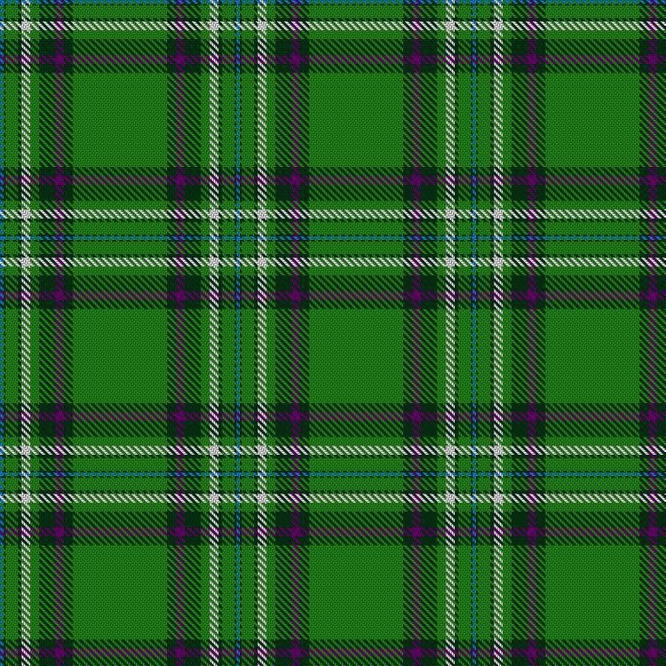 Tartan image: Harkin, D and Gil-Abillera, H - Wedding (Personal). Click on this image to see a more detailed version.