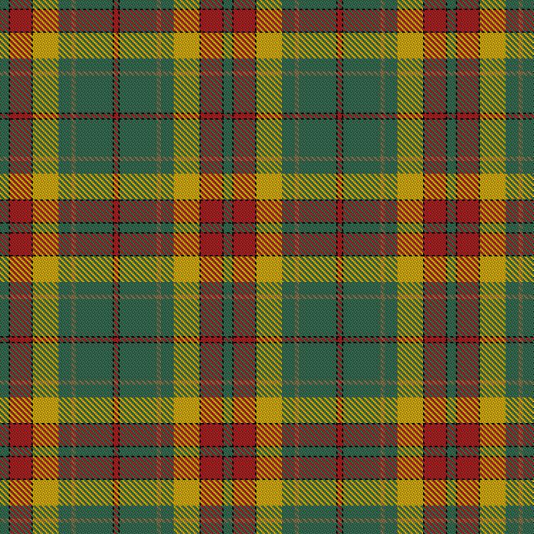 Tartan image: Tulloch, Frank & Family (Personal). Click on this image to see a more detailed version.
