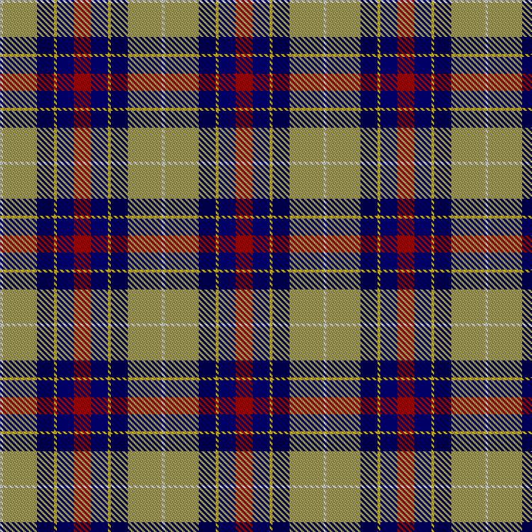 Tartan image: Varholy, D J (Personal). Click on this image to see a more detailed version.