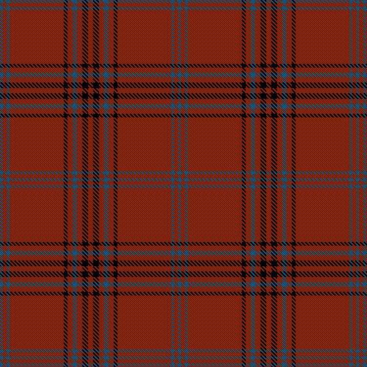 Tartan image: Anaya, Ernesto & Family Dress (Personal). Click on this image to see a more detailed version.