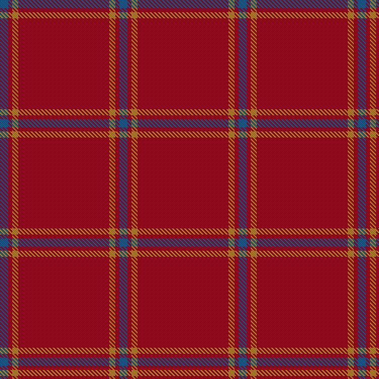 Tartan image: Lima-Richter, D & Family (Personal). Click on this image to see a more detailed version.