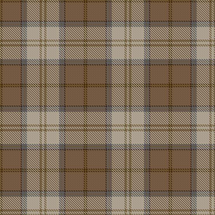 Tartan image: Brambles. Click on this image to see a more detailed version.