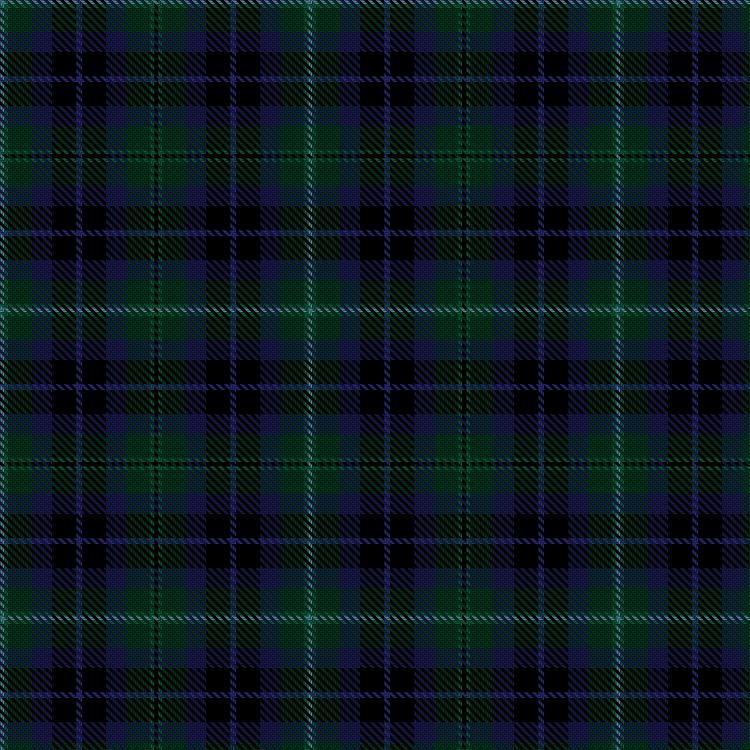 Tartan image: MacRitchie, Iain Hunting (Personal). Click on this image to see a more detailed version.