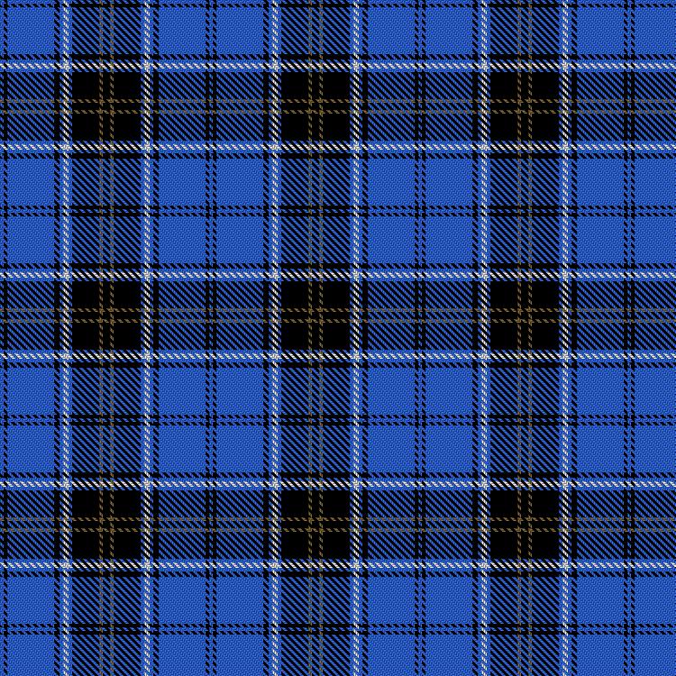 Tartan image: Alba Party. Click on this image to see a more detailed version.