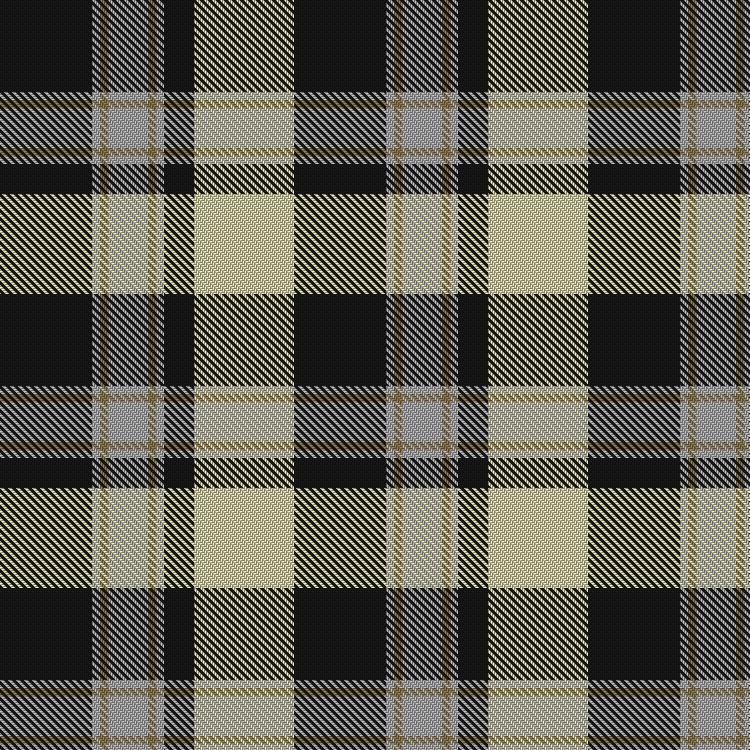 Tartan image: Milne Graden. Click on this image to see a more detailed version.