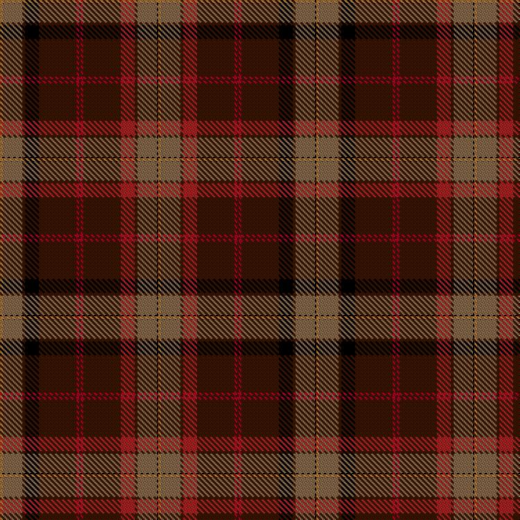 Tartan image: Solveig in Scotland. Click on this image to see a more detailed version.