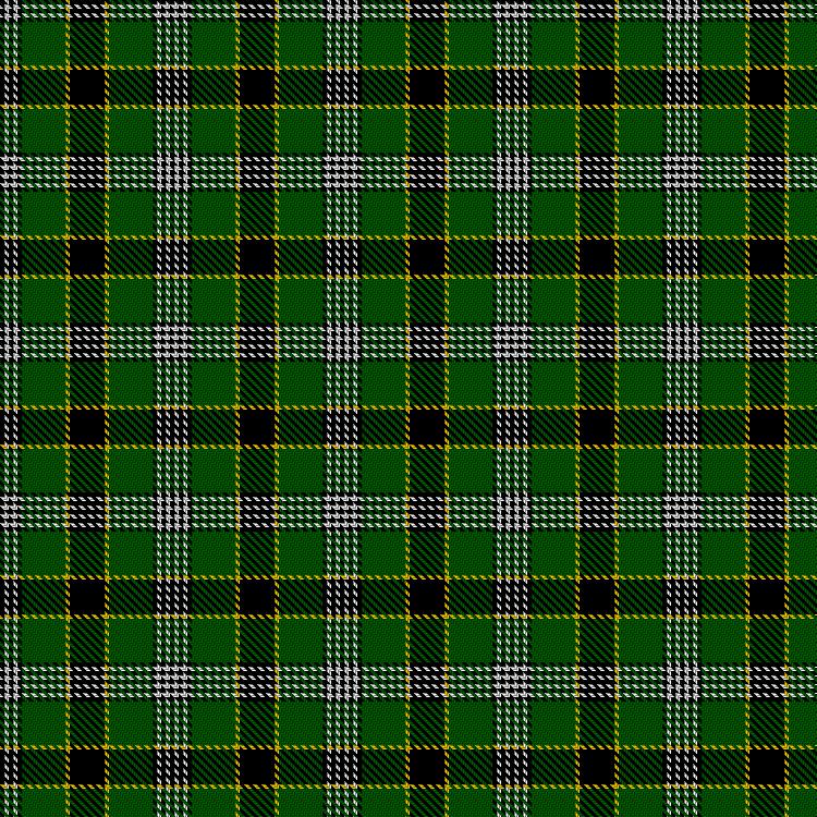 Tartan image: Spirit of Le Mans (GT). Click on this image to see a more detailed version.