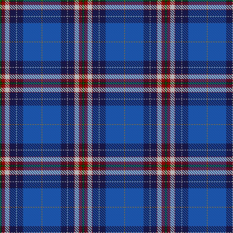 Tartan image: Festival Intercéltico de Avilés. Click on this image to see a more detailed version.