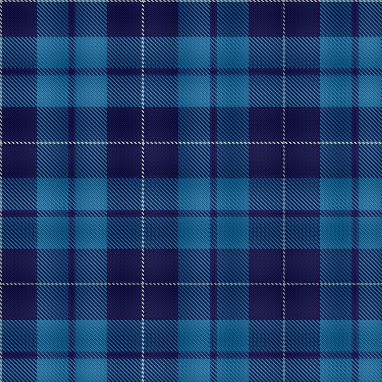 Tartan image: Gilt Edge. Click on this image to see a more detailed version.