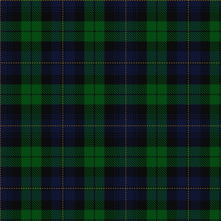 Tartan image: Lutton, Wayne & Family (Personal). Click on this image to see a more detailed version.