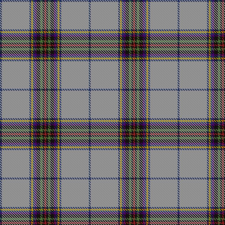 Tartan image: Child Human Rights Defenders. Click on this image to see a more detailed version.