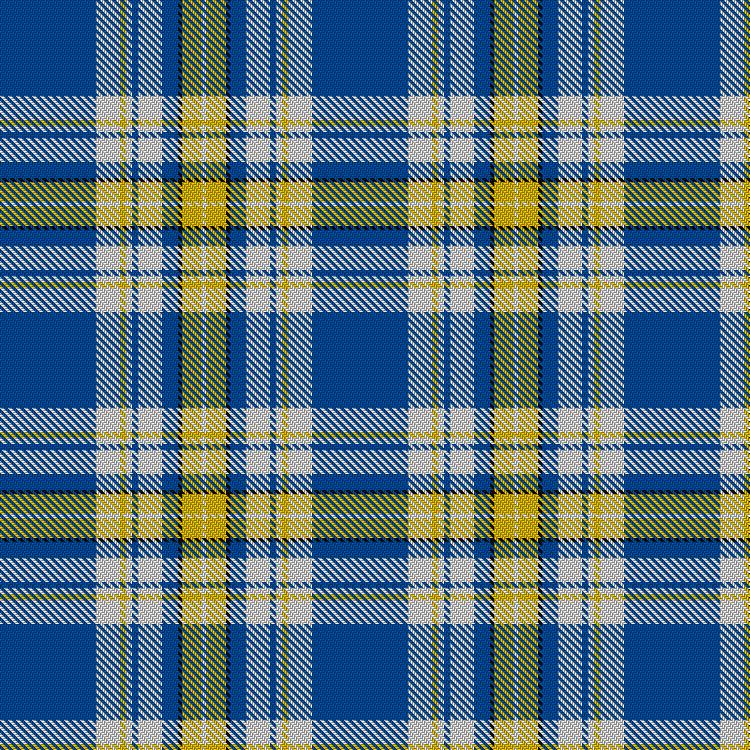 Tartan image: Ukraine Forever. Click on this image to see a more detailed version.