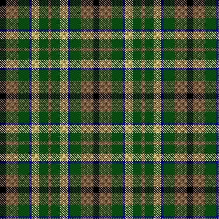 Tartan image: Doten, J Hunting (Personal). Click on this image to see a more detailed version.