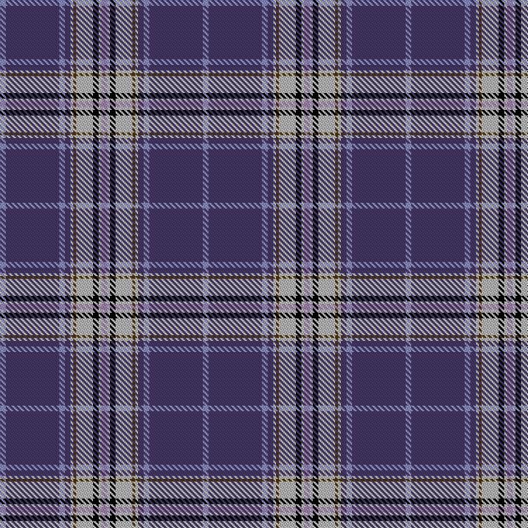 Tartan image: Spirit of Glasgow. Click on this image to see a more detailed version.