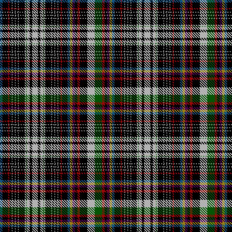 Tartan image: Spirit of Palestine. Click on this image to see a more detailed version.
