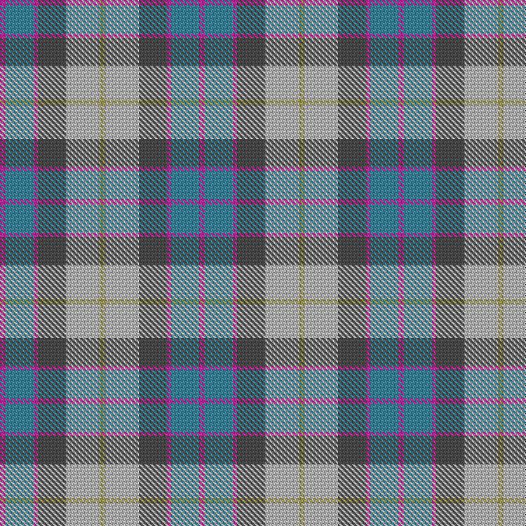 Tartan image: Edinburgh International Conference Centre 2022, The. Click on this image to see a more detailed version.